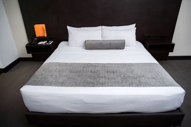 Comfort Oda, 1 En Büyük (King) Boy Yatak, Sigara İçilmez