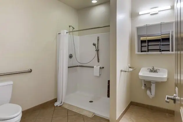 Süit, 1 Yatak Odası, Engellilere Uygun (Accessible Suite with Roll-In Shower)