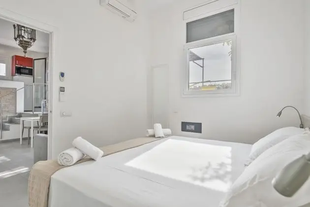 Çatı Katı Süiti (Penthouse), 1 Yatak Odası, Teras, Şehir Manzaralı
