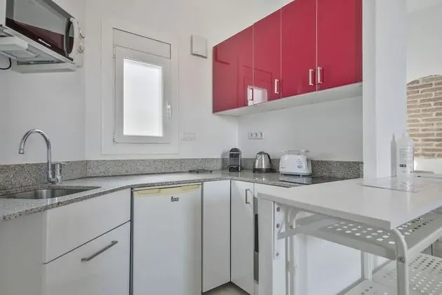 Çatı Katı Süiti (Penthouse), 1 Yatak Odası, Teras, Şehir Manzaralı