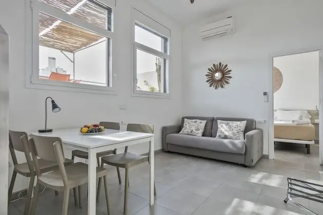 Çatı Katı Süiti (Penthouse), 1 Yatak Odası, Teras, Şehir Manzaralı
