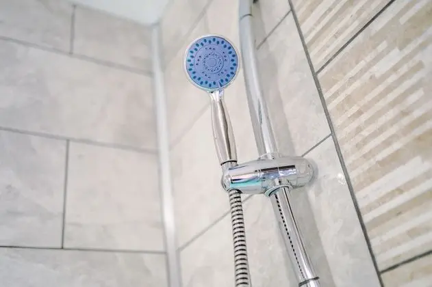 Deluxe Apart Daire, Sıcak Su Havuzu