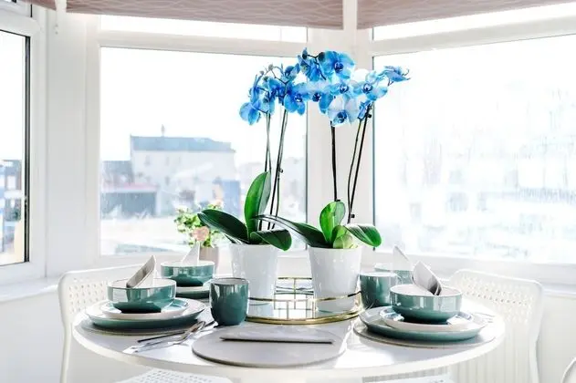 Deluxe Apart Daire, Sıcak Su Havuzu