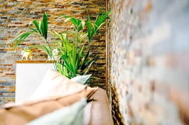 Deluxe Apart Daire, Sıcak Su Havuzu