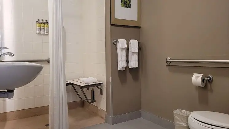 Süit, 2 Yatak Odası, Engellilere Uygun, Mutfak (Roll-In Shower)