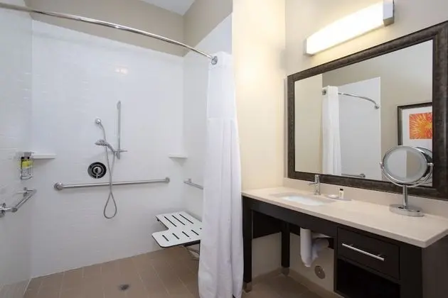 Süit, 1 Yatak Odası, Engellilere Uygun, Mutfak (1 Queen Bed)