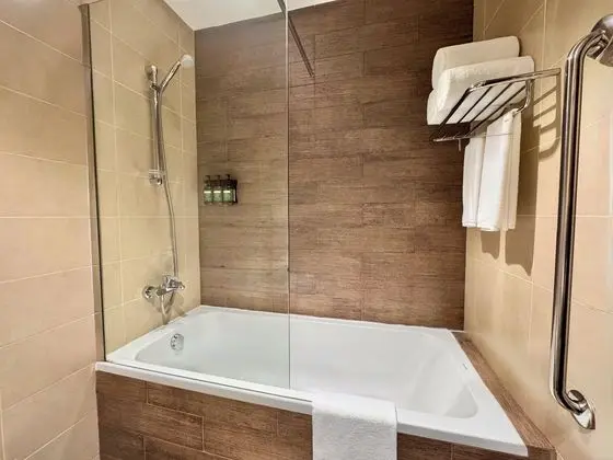 Süit, 1 Yatak Odası, Balkon, Şehir Manzaralı