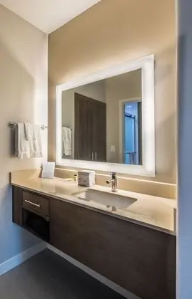 Süit, 1 Yatak Odası, Mutfak (1 King Bed with Shower)
