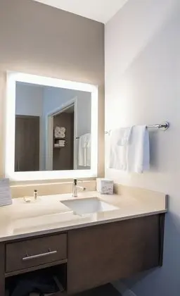 Süit, 1 Yatak Odası, Mutfak (1 King Bed with Shower)