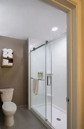 Süit, 1 Yatak Odası, Mutfak (1 King Bed with Shower)
