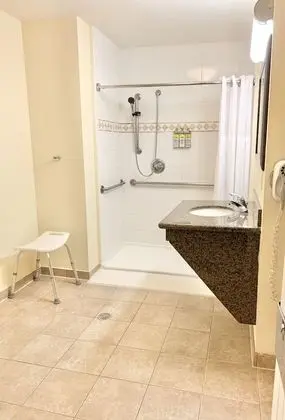 Stüdyo Süit, 1 Büyük (Queen) Boy Yatak, Engellilere Uygun, Mutfak (Roll-In Shower)