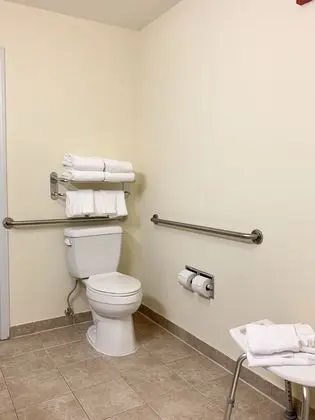 Süit, 1 Yatak Odası, Engellilere Uygun, Mutfak (Comm, Transfer Shower)