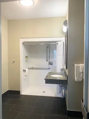 Stüdyo Süit, 1 En Büyük (King) Boy Yatak, Engellilere Uygun, Mutfak (Roll-In Shower)