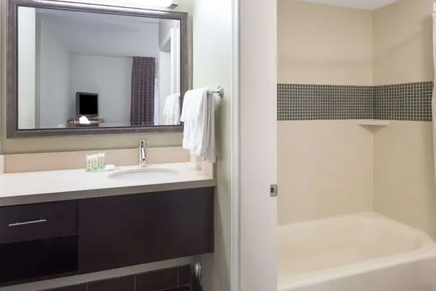 Süit, 1 Büyük (Queen) Boy Yatak ve Çekyat, Engellilere Uygun (Mobility Tub One Bedroom)
