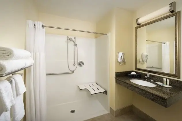 Süit, 1 Yatak Odası, Engellilere Uygun, Mutfak (Roll-In Shower)