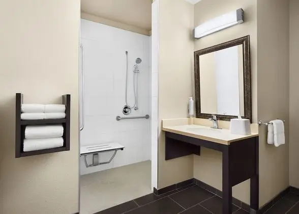 Stüdyo Süit, 2 Büyük (Queen) Boy Yatak, Engellilere Uygun (Roll-In Shower)