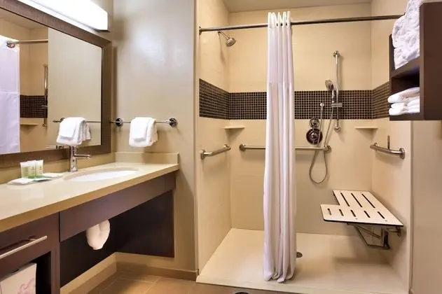 Süit, 1 Yatak Odası, Engellilere Uygun, Mutfak (Roll-In Shower)