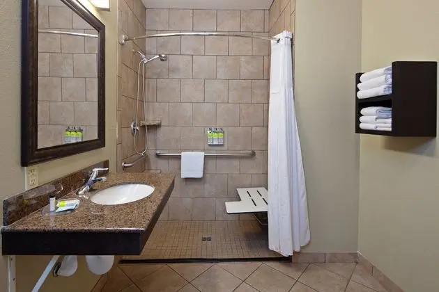 Süit, 1 Yatak Odası, Engellilere Uygun, Mutfak (Roll-in Shower)