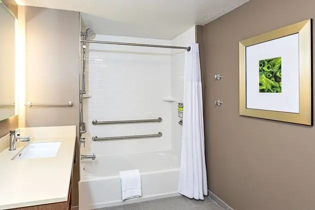 Süit, 1 Yatak Odası, Engellilere Uygun, Mutfak (Accessible Tub)