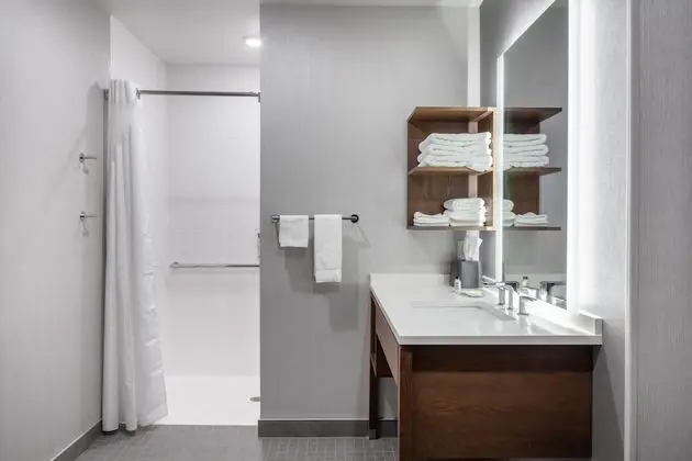 Stüdyo Süit, 1 En Büyük (King) Boy Yatak, Engellilere Uygun, Mutfak (Roll-In Shower)