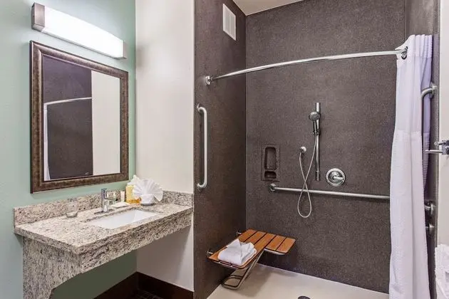 Süit, 1 Yatak Odası, Engellilere Uygun, Mutfak (Mobility, Roll-In Shower)