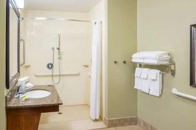 Süit, 1 Büyük (Queen) Boy Yatak, Engellilere Uygun, Mutfak (Comm Accessible, Roll-In Shower)