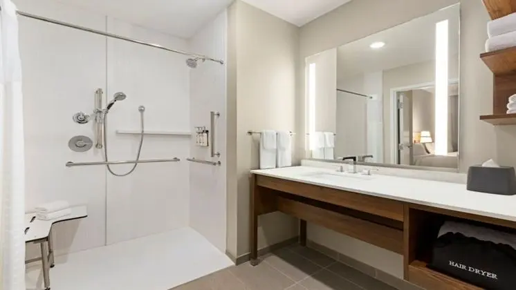 Süit, 1 Yatak Odası (Communication, Roll-In Shower)