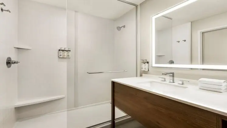 Süit, 1 Yatak Odası (Walk-In Shower)