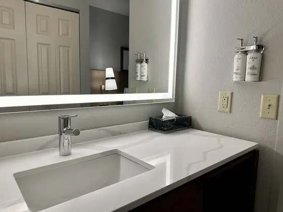 Stüdyo Süit, 1 Büyük (Queen) Boy Yatak, Engellilere Uygun, Mutfak (Communications)