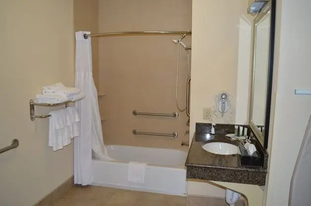 Süit, 1 Yatak Odası, Engellilere Uygun, Mutfak (Communications)