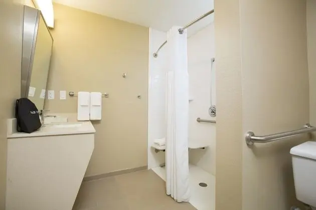 Süit, 1 Yatak Odası, Engellilere Uygun, Mutfak (Mobility Roll-In Shower)