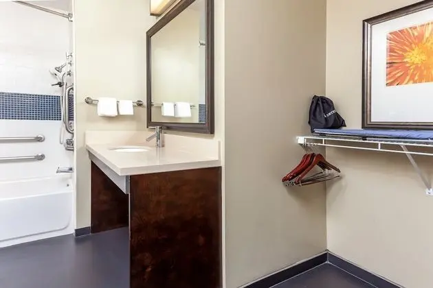 Süit, 1 Yatak Odası, Engellilere Uygun, Mutfak (Accessible Tub)