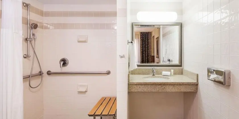 Süit, 1 Yatak Odası, Engellilere Uygun, Mutfak (Roll-In Shower)
