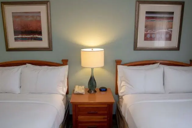 Süit, 2 Çift Kişilik Yatak (One Bedroom)