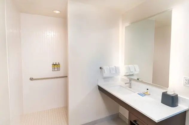 Süit, 1 Yatak Odası, Engellilere Uygun, Mutfak (Roll-In Shower)