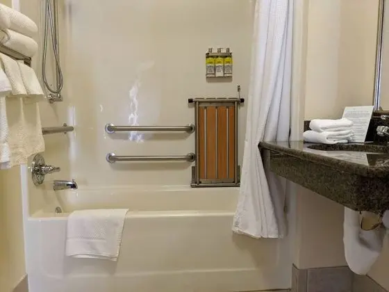 Stüdyo Süit, 1 Büyük (Queen) Boy Yatak, Engellilere Uygun (Hearing, Bathtub)