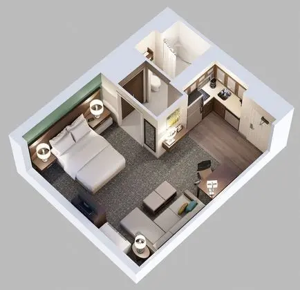 Stüdyo Süit, 1 En Büyük (King) Boy Yatak, Engellilere Uygun, Mutfak (Mobility, Access Tub)