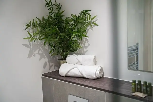 Apart Daire, Engellilere Uygun, Özel Banyo