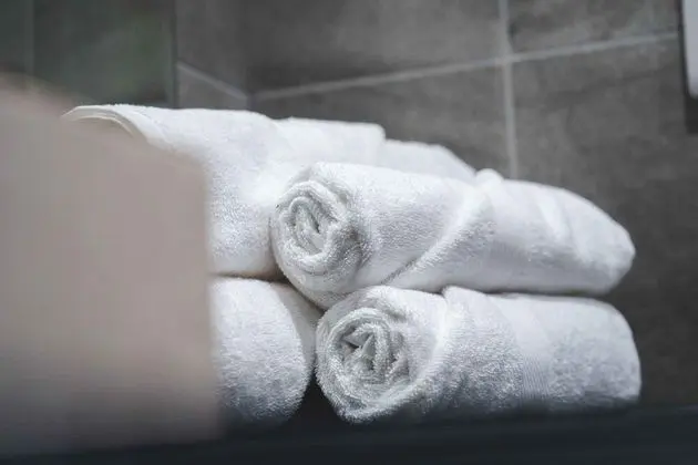 Exclusive Çatı Katı Süiti (Penthouse), Engellilere Uygun, Özel Banyo