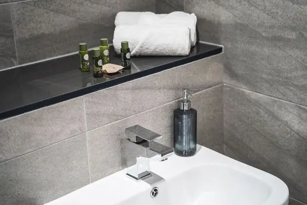 Executive Apart Daire, Engellilere Uygun, Özel Banyo (Standard)