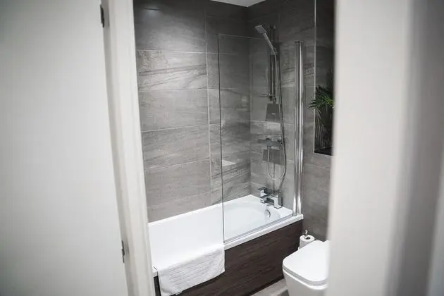 Executive Apart Daire, Engellilere Uygun, Özel Banyo (Standard)