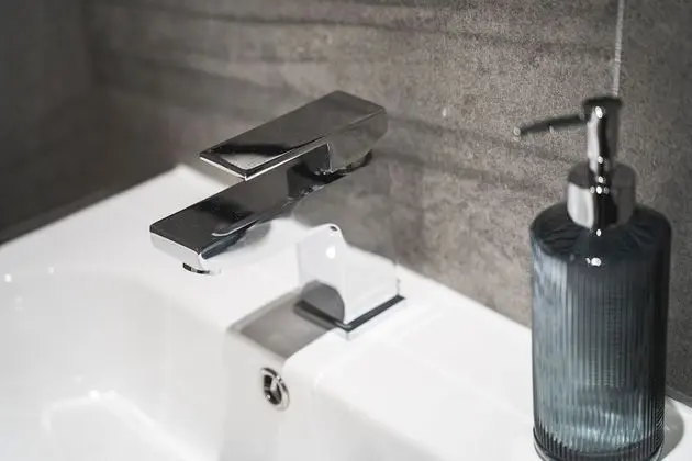 Executive Apart Daire, Engellilere Uygun, Özel Banyo (Standard)