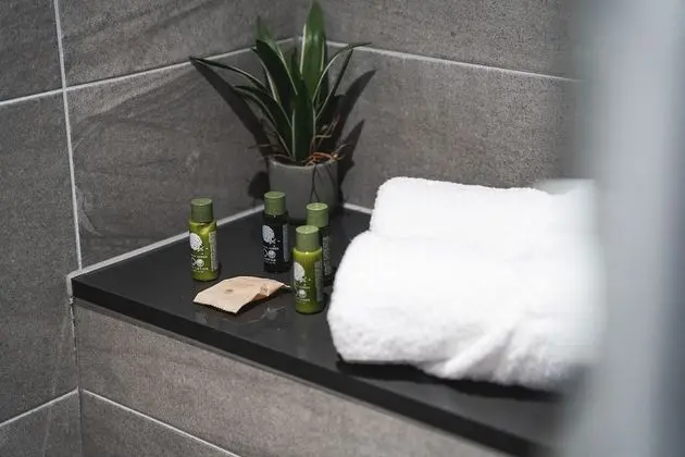 Executive Apart Daire, Engellilere Uygun, Özel Banyo (Standard)