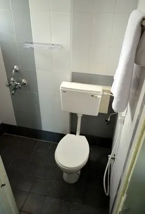 Executive Tek Büyük Yataklı Oda, 1 Büyük (Queen) Boy Yatak, Engellilere Uygun, Bahçe Manzaralı