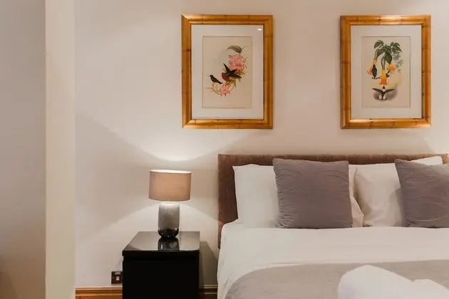 Luxury Stüdyo Süit