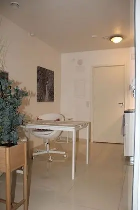 Business Tek Kişilik Oda, 1 Yatak Odası