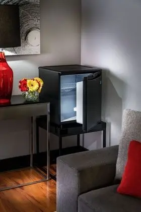 Mini buzdolabı