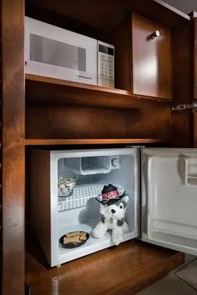 Mini buzdolabı