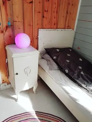Ev