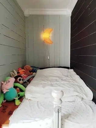 Ev